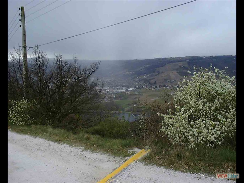 DSC00009_1