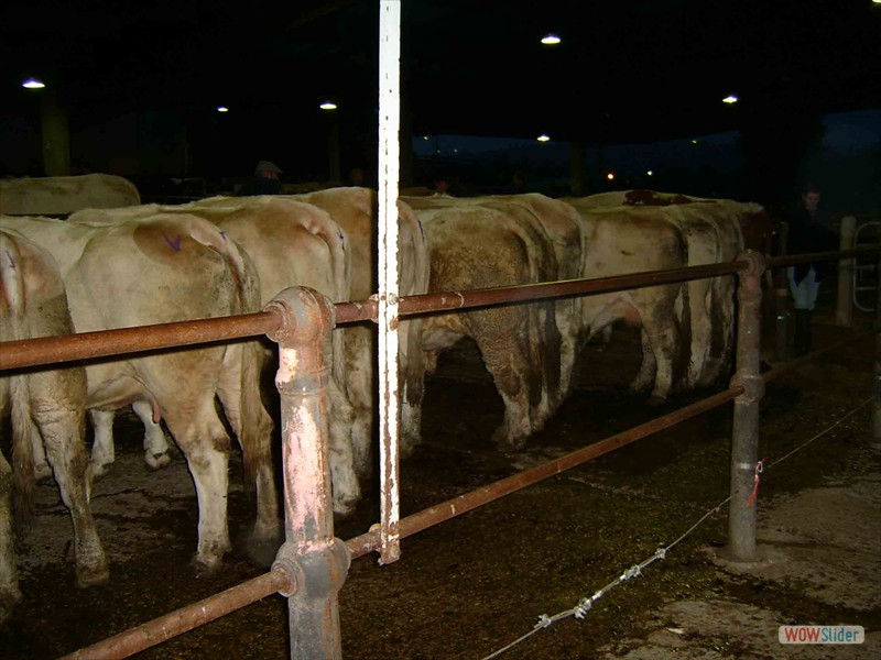 OCTOBRE_2004-006