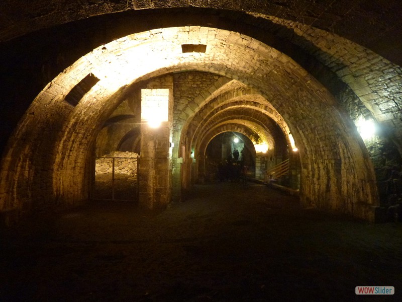 15.03. Amicale Bayard visite Jura (10)