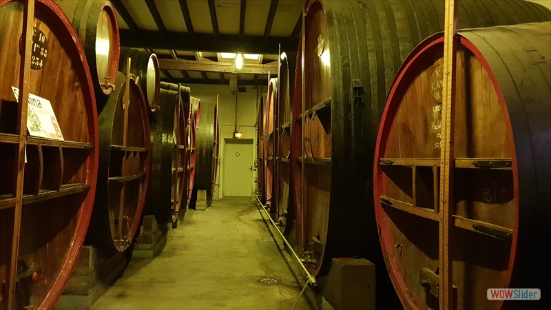 foudres de chêne de 4 mètres de haut